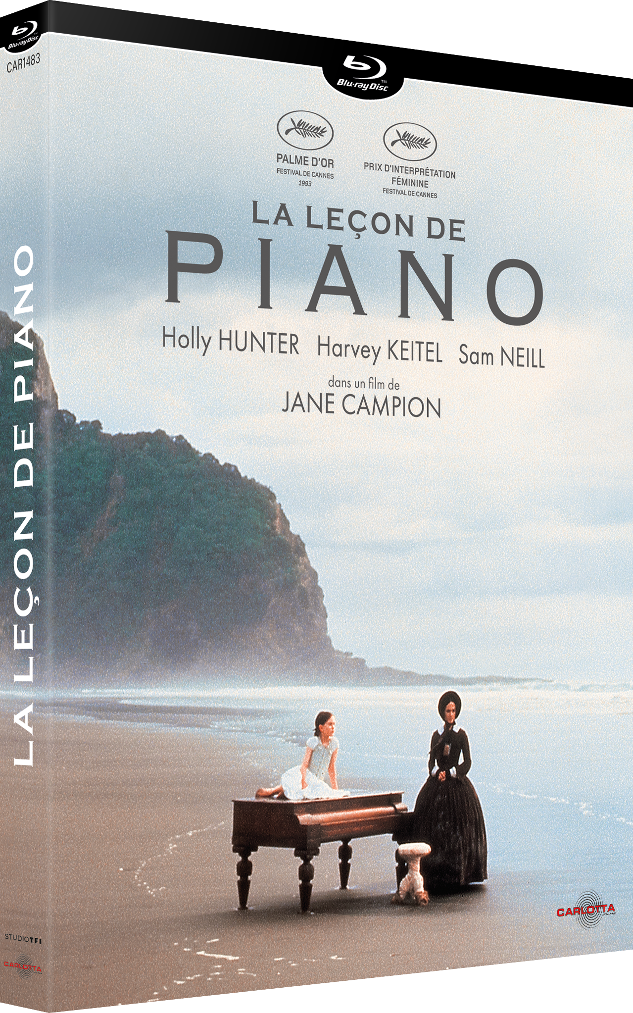 La Leçon de piano de Jane Campion