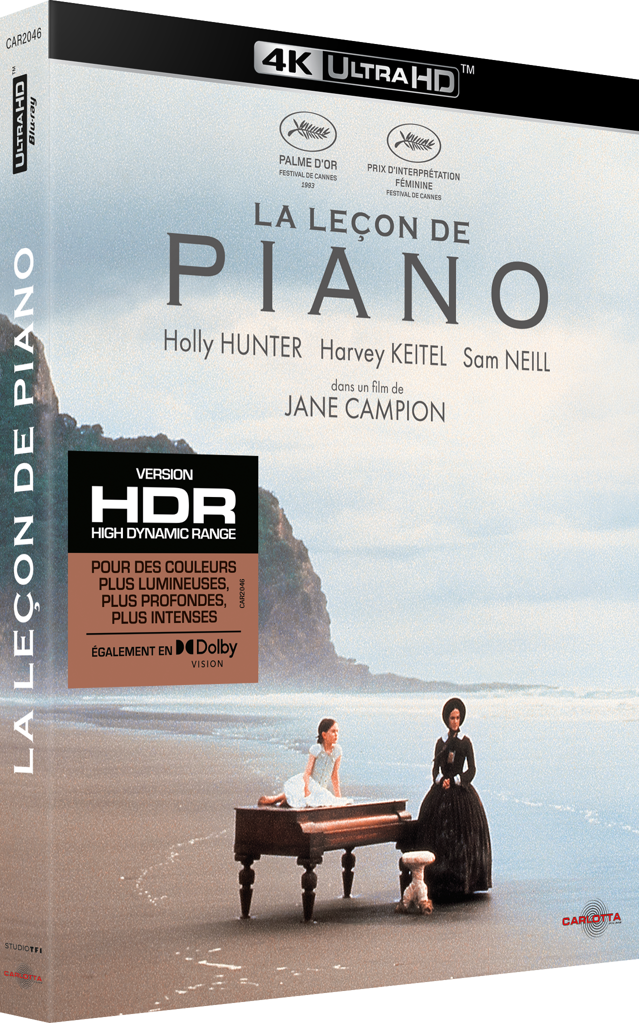 La Leçon de piano de Jane Campion
