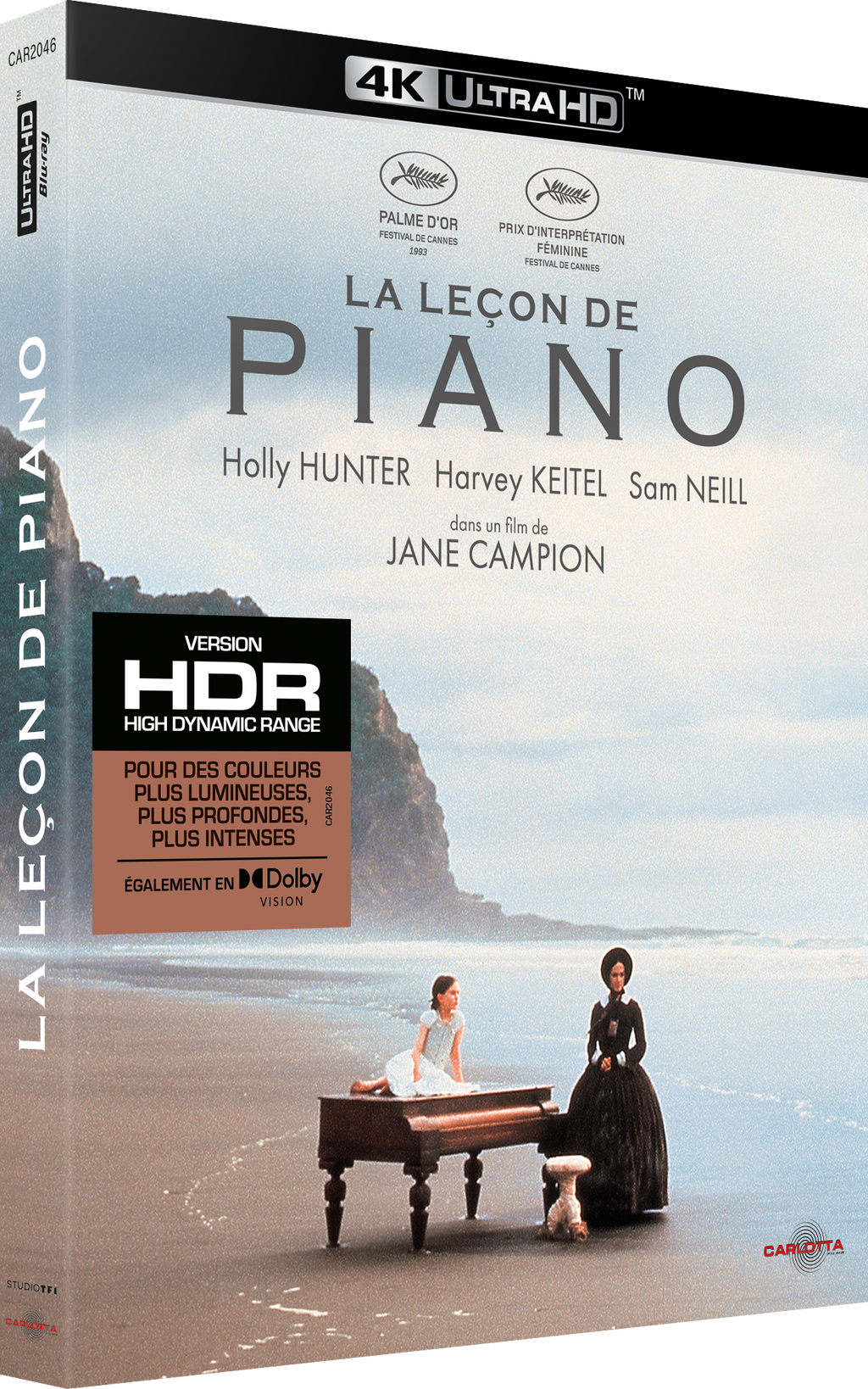 La Leçon de piano de Jane Campion