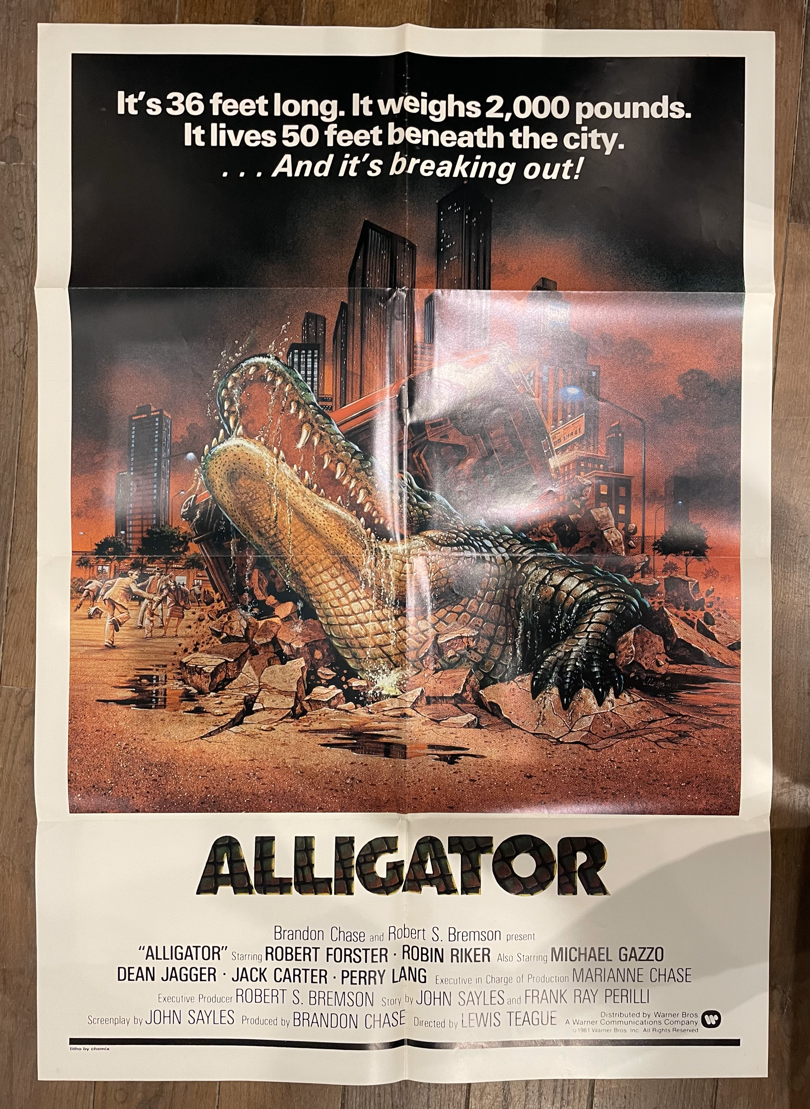 Affiche Alligator
