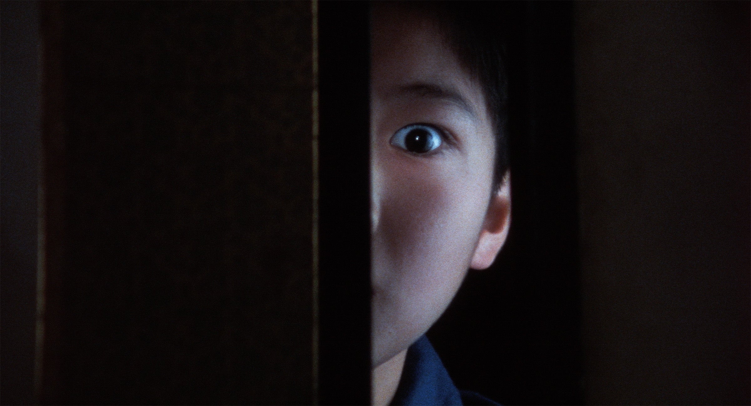 Yakuza Seed by Takashi Miike