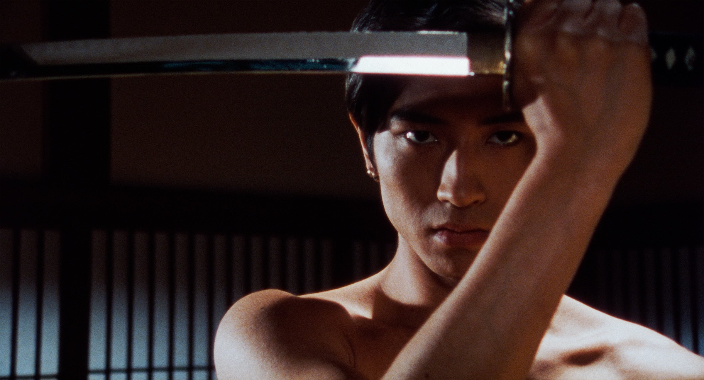 Yakuza Seed by Takashi Miike