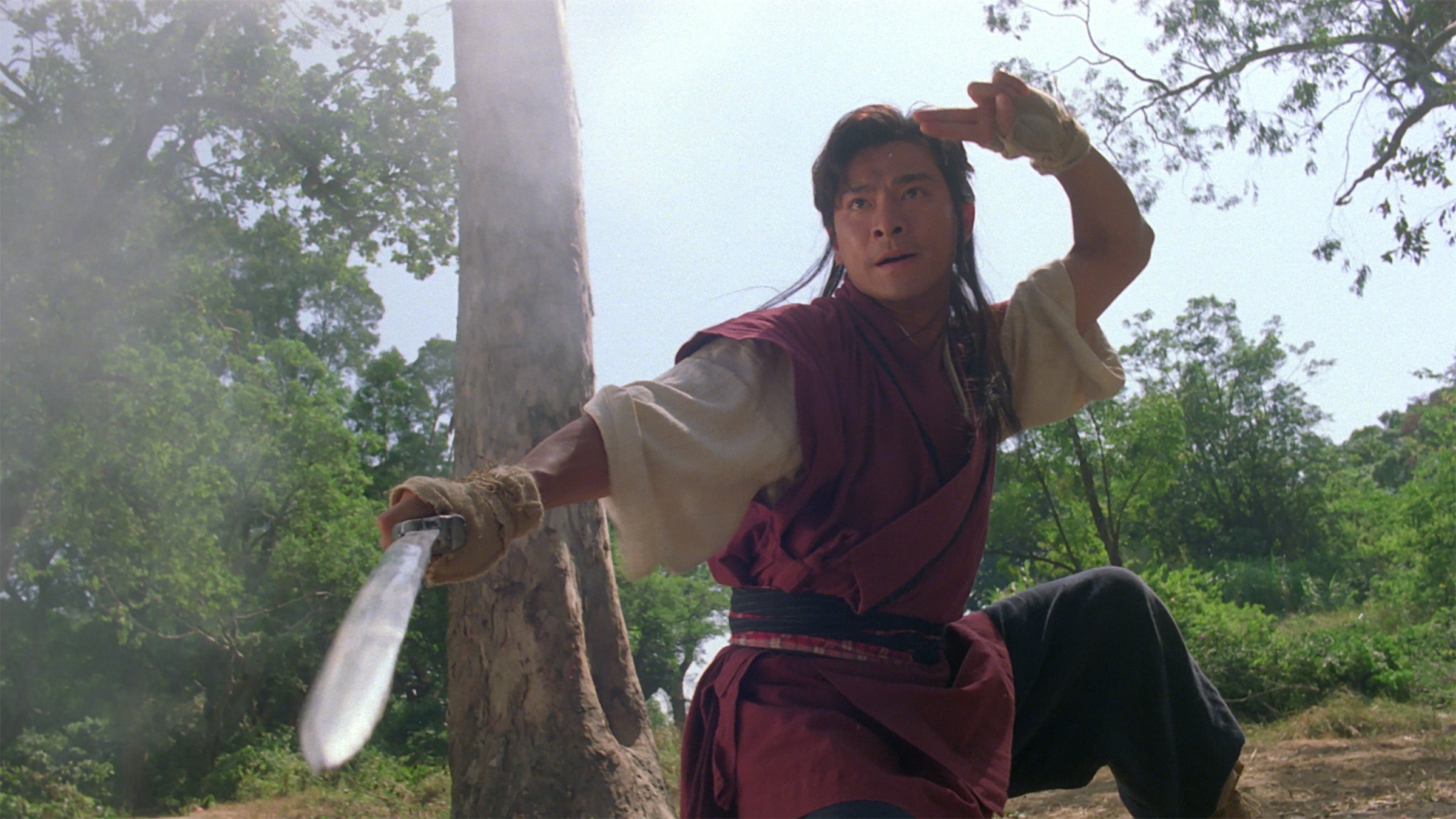 The Moon Warriors de Sammo Hung