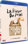 The Flower of Evil by Claude Chabrol