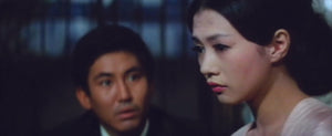Les Plaisirs de la Chair de Nagisa Oshima - DVD - Carlotta Films - La Boutique