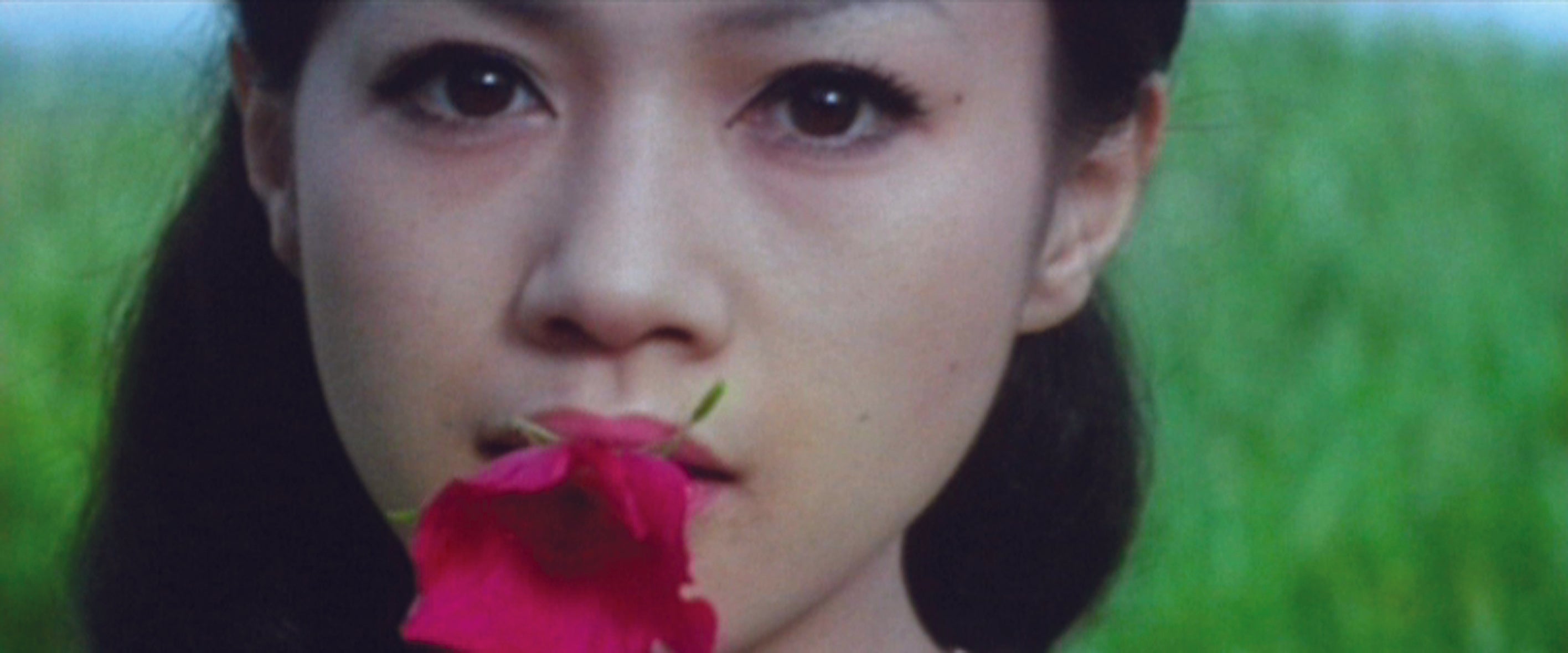 Les Plaisirs de la Chair de Nagisa Oshima - DVD - Carlotta Films - La Boutique